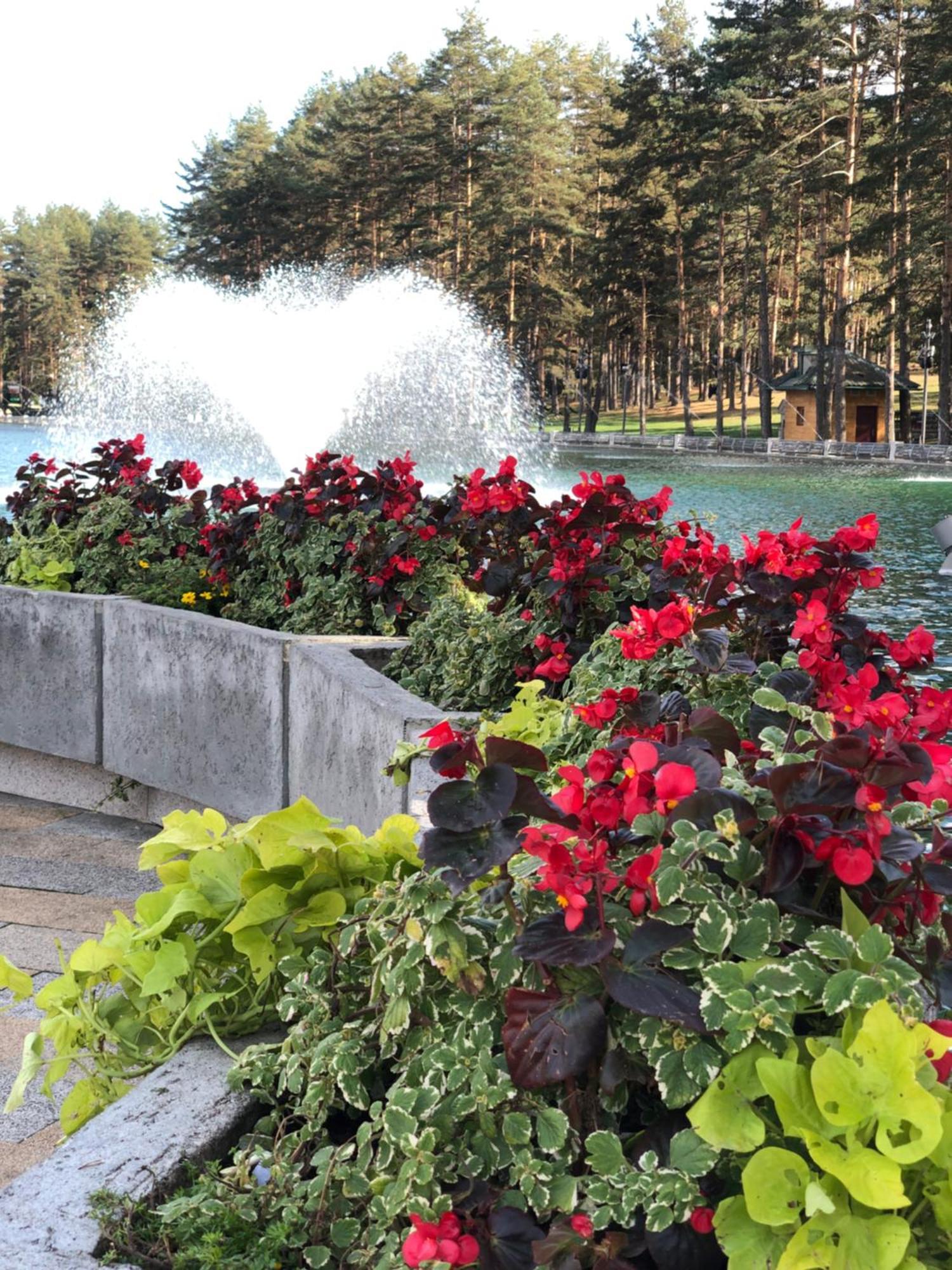 Ferienwohnung Danijela & Konak Zlatibor Exterior foto